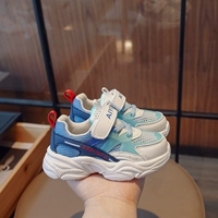 B06 Blue Single Network