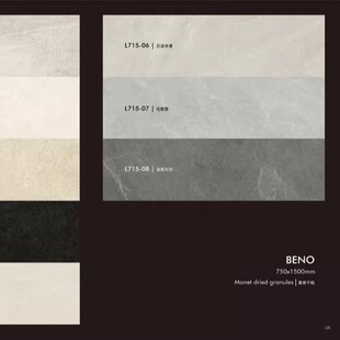 高睿沙岩莱姆石岩石别墅大宅豪瓷砖全屋通铺广东31花色原木风PUJI