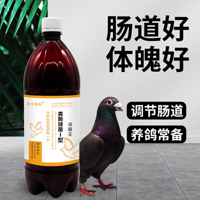 鸽用活菌王肠道保健调理水绿拉稀