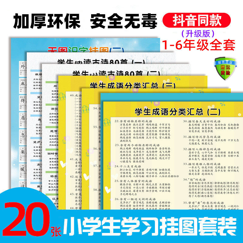 套装抖音成语大全学习挂图