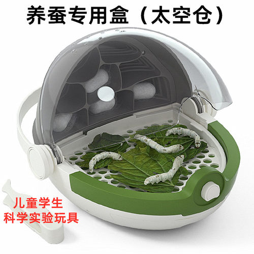 儿童学生科学实验工具套装昆虫