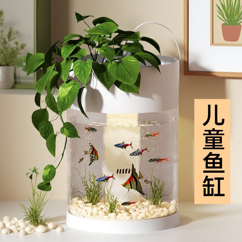 儿童鱼缸客厅桌面小型观赏造景水族养鱼科学生物观察实验玩具礼物