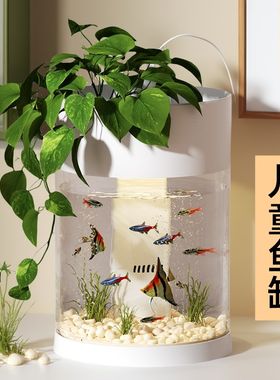 儿童鱼缸客厅桌面小型观赏造景水族养鱼科学生物观察实验玩具礼物