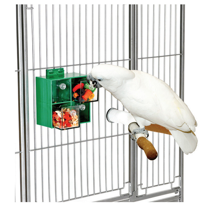 CAITEC鹦鹉玩具大鹦鹉觅食玩具