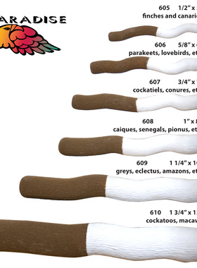 Paradise美国天堂鸟鹦鹉磨砂站棒站杆宠物鸟站棒鹦鹉磨爪棒磨脚趾