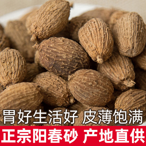 云南砂仁250g卤料香料调料大全