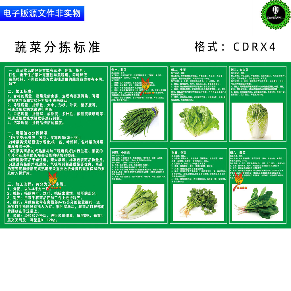 蔬菜分拣标准展板宣传栏商场超市蔬菜包装加工装框作业看板素材