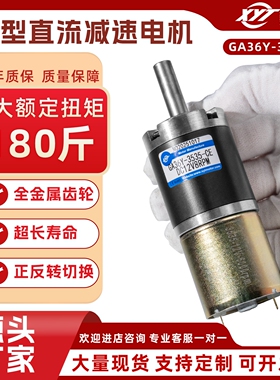 GA36Y-3535行星齿轮减速电机12V24V微型可调低速直流减速电动机
