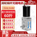 新永泰JGY2838微型直流无刷减速电机12V24V涡轮蜗杆大扭矩小马达