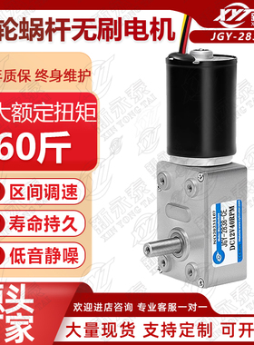 新永泰JGY2838微型直流无刷减速电机12V24V涡轮蜗杆大扭矩小马达