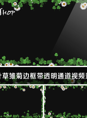 三叶草雏菊边框带透明通道视频素材绿色植物叶子花边装饰动态效果
