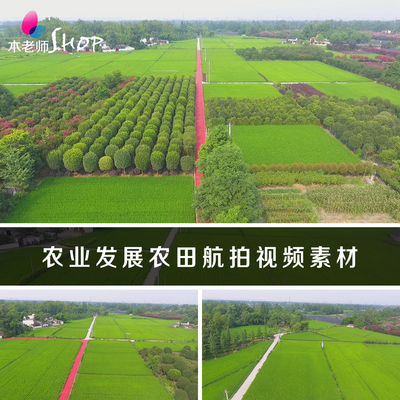 实拍农业发展农田航拍视频素材绿色田野田地种植业农作物产业经济
