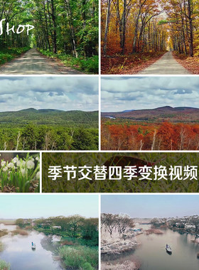 季节交替四季变换视频素材春夏秋冬天气气候变化植物丛林延时摄影