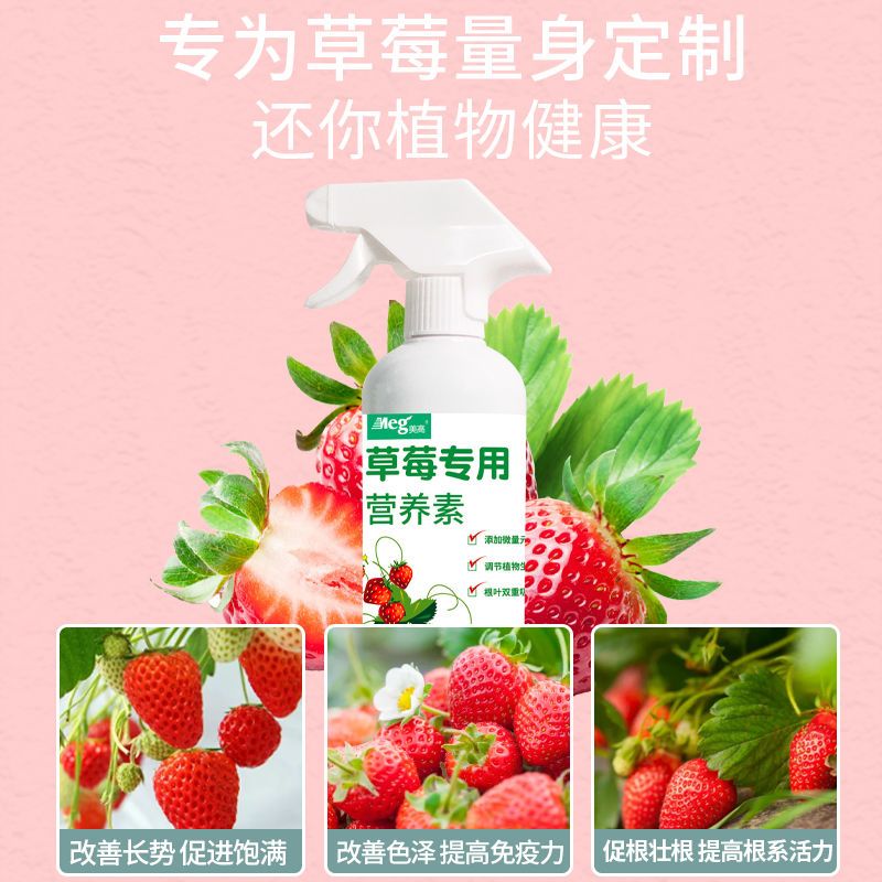 草莓免稀释营养液黄叶烂根都用