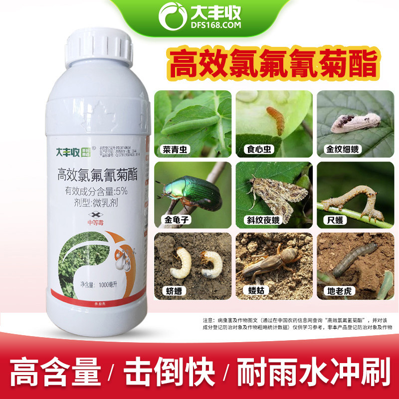 菊酯果树功夫菜青虫农药