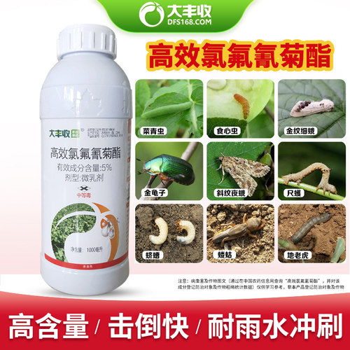 菊酯果树功夫菜青虫农药