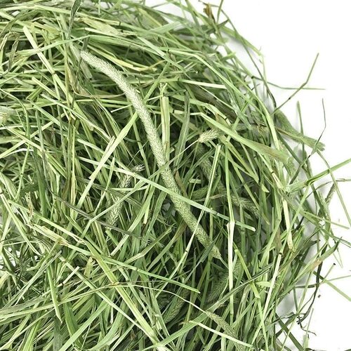 26年优质头茬新草晒干提摩西草龙猫豚鼠兔粮干草 现货包邮