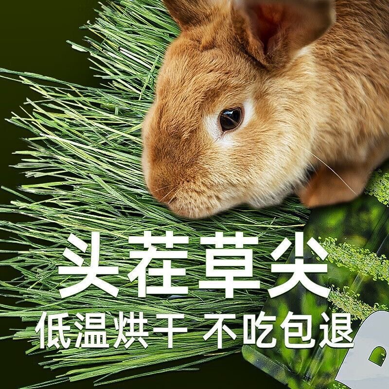 26年烘干提摩西草段岷县北提龙猫