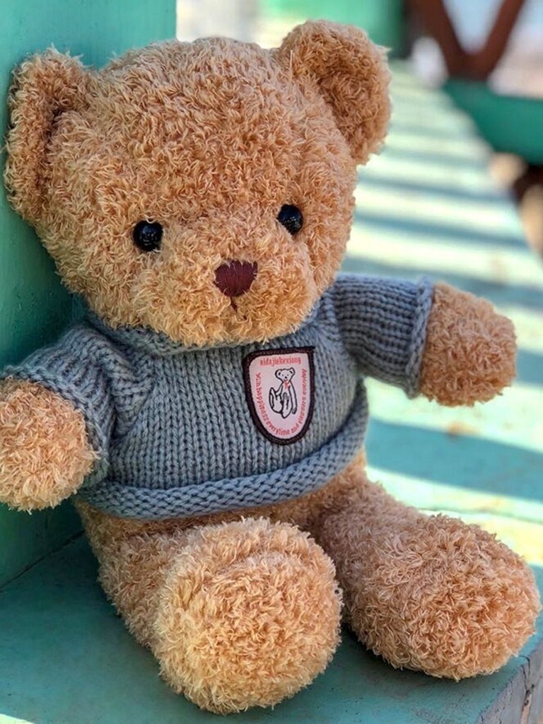 玩具熊泰迪熊玩偶抱抱熊娃娃PP棉