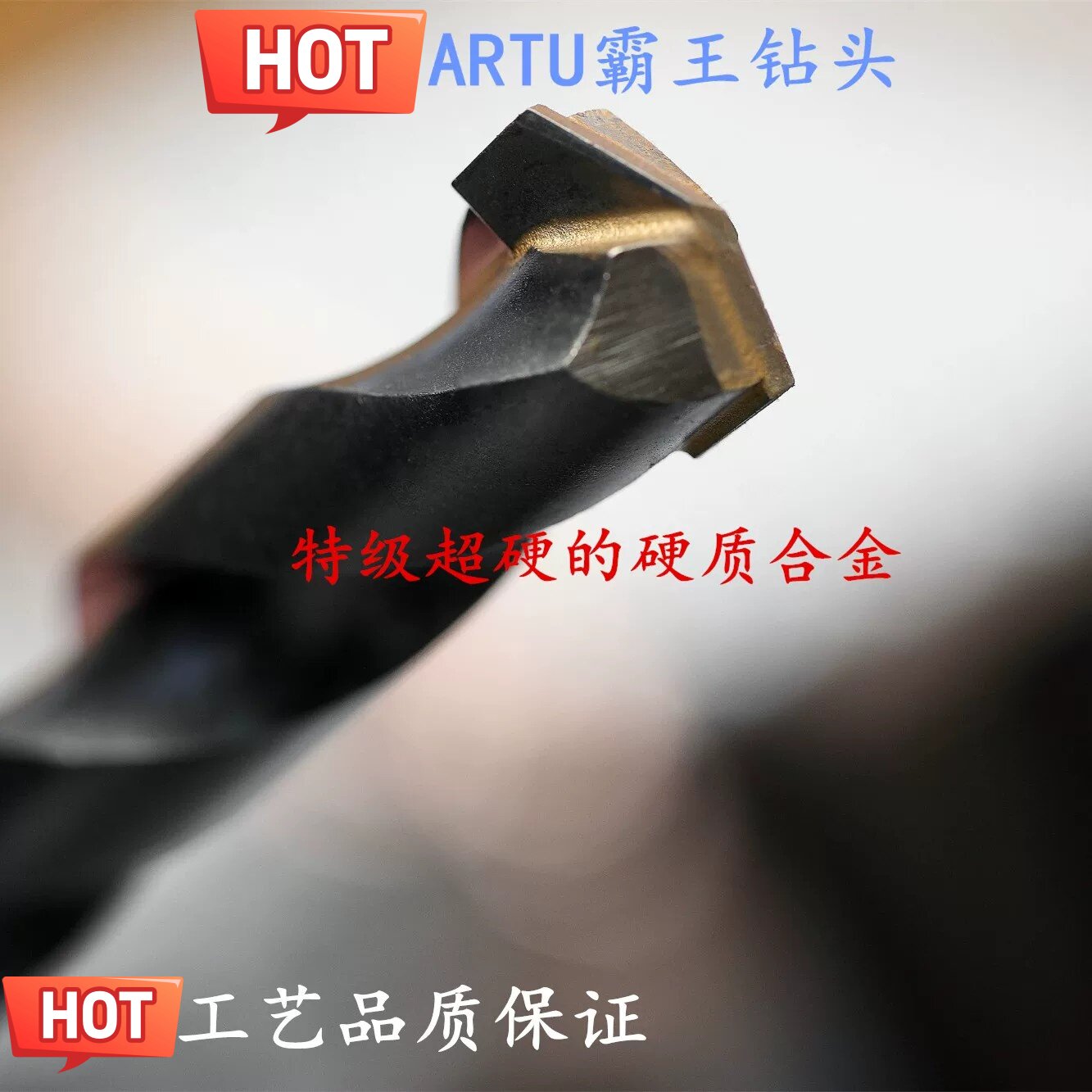 德国霸王轴承钢钻孔钻头ARTU图片