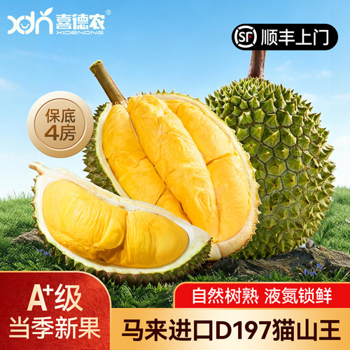 喜德农马来西亚猫山王D197榴莲