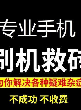 适用于Phone678x隐藏平果11/12/13Prom14/mini远程刷机解平板维修