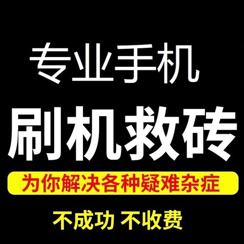 适用于Phone678x隐藏平果11/12/13Prom14/mini远程刷机解平板维修