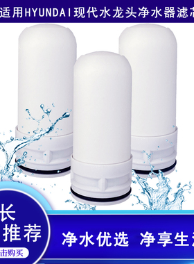 适用HYUNDAI现代QC-3920净水龙3925头水器滤芯BEC8501 JS3922 M52