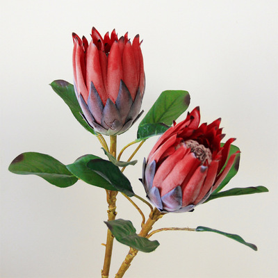 欧式高品质帝王花仿真花束大号植绒帝王花民宿样板间装饰花束摆件