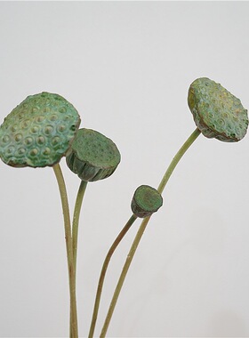 清新禅意仿真绿色莲蓬客厅插花家居民宿装饰品软装假花仿真花配花