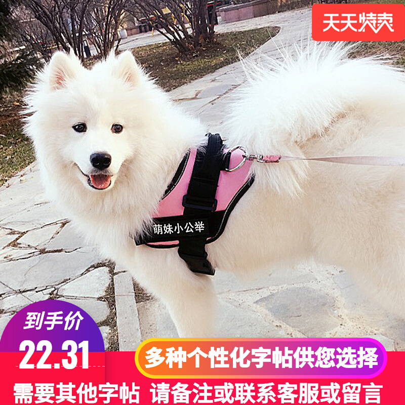 狗狗牵引绳胸背带大中小型犬反光带金毛泰迪狗绳链子防挣脱可调节