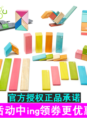 tegu特固磁力块积木儿童益智玩具大块1-2-3周岁美国进口正品包邮