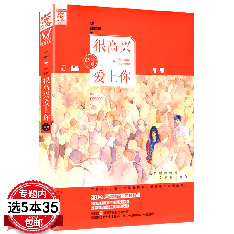 很高兴爱上你 暖男作家彭湃 著//都市青春情感小说猎能者余生请多指教往后余生目光所至都是你