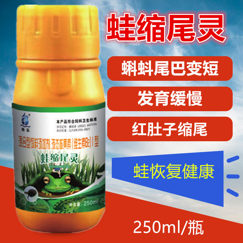 鱼乐蛙缩尾灵牛蛙蝌蚪青蛙尾巴变短发白蜕变期疾病预防林蛙虎斑蛙