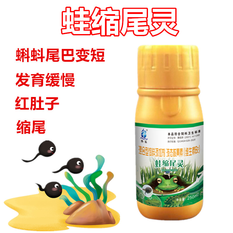 鱼乐蛙缩尾灵蝌蚪尾巴变短萎缩变白发育缓慢牛蛙林蛙青蛙虎斑棘胸