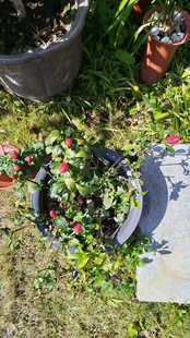 北美精算师SOA  exam astam actex 3th manual