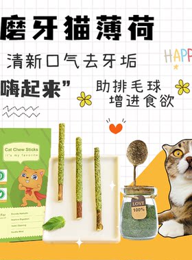 猫薄荷玩具磨牙洁齿增进食欲