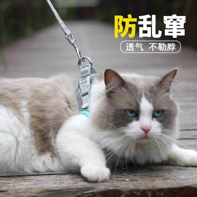 猫咪牵引绳遛猫绳外出溜猫绳栓猫绳牵猫绳防挣脱猫猫可调节背心式
