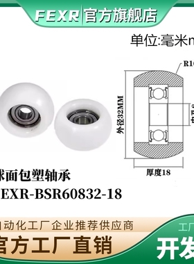 FEXR圆弧R型外球面包塑轴承BSR60832-18家具展柜小滑轮移门窗滚轮