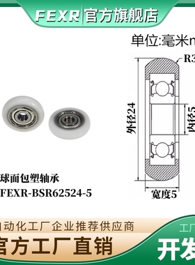 FEXR圆弧R型外球面包塑轴承BSR62524-5家具展柜小滑轮移门窗滚轮