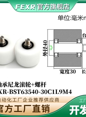 BST63540-30C1L9M4不锈钢螺杆输送带专用塑料滚轮POM滑轮尼龙轮