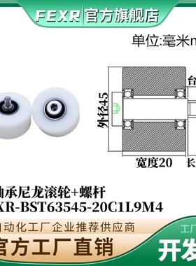 带螺杆BST63545-20C1L9M4尼龙塑料滚轮双轴承加宽输送带POM滑轮