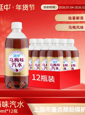 【延中】 乌梅味汽水380ml*12瓶/箱 夏季 碳酸饮料果味汽水饮品