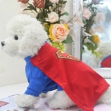 Супермен превращается в собак и домашних животных для кошачьих питомцев