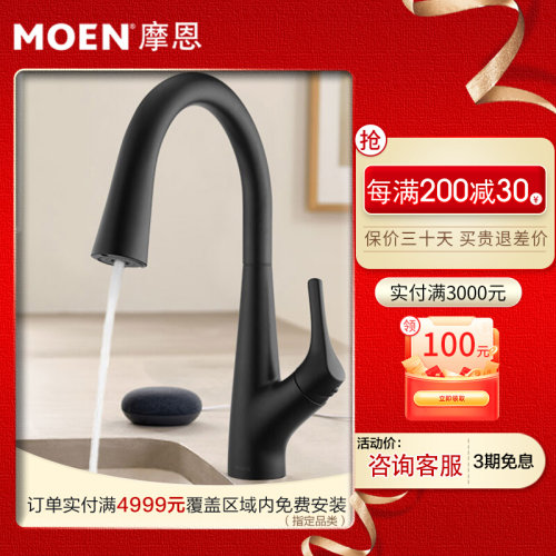 摩恩冷热水龙头抽拉式水槽家用净水洗涤2合1厨房龙头铜GN69700