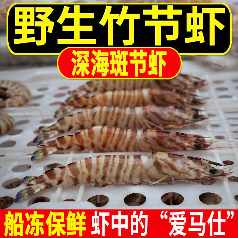 特大号东海野生竹节虾新鲜鲜活船冻九节虾海鲜舟山海捕斑节虾