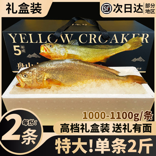 【高端】舟山深水大黄鱼单条2斤