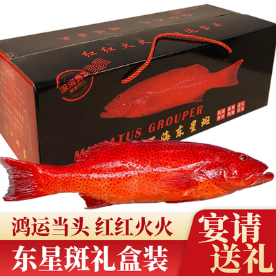 高档东星斑礼盒红红火火好寓意