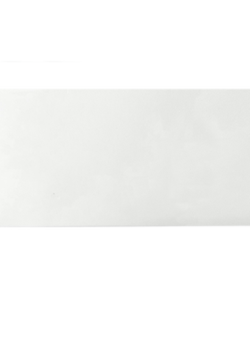 丽标（capelabel）D5025W 标签纸 50mm*25mm/500片/卷 （计价单位：卷）白色