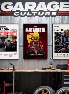 F1赛车汉密尔顿维斯塔潘装饰画